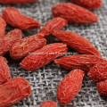 Berry goji organic dried fruit good for health